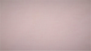 1/16th" Pink Gingham Fabric