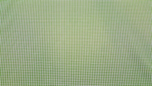 Discount Fabric DRAPERY Spring Green & Ivory Check