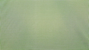 Discount Fabric DRAPERY Spring Green & Ivory Check