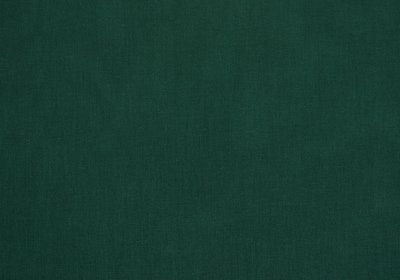 Hunter 100% Cotton Harvest Broadcloth - WHOLESALE FABRIC - 20 Yard Bolt