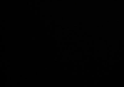 Black Polycotton Liberty Broadcloth Fabric