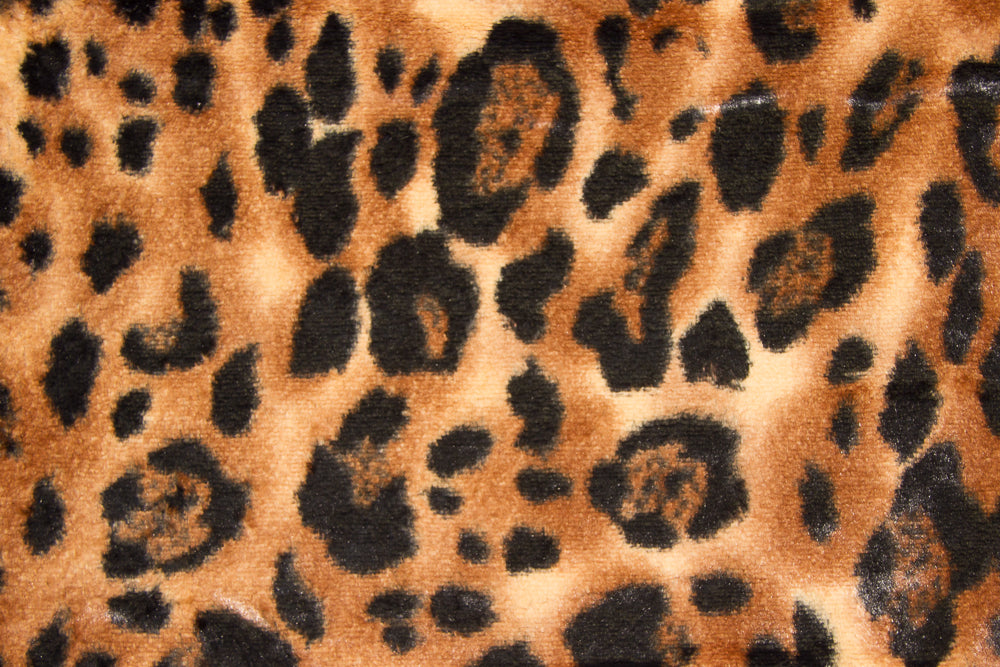 Safari Minky Fabric--Big Cat Brown