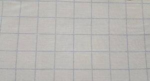Discount Fabric POLY/COTTON - 9 1/2" Wide - White & Blue Check