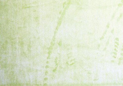 Mint Minky Solid Fabric