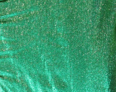 Kelly Tissue Lamé - WHOLESALE FABRIC - 12 Yard Bolt