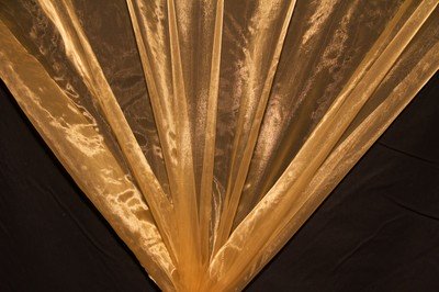 Antique Gold Organza Fabric