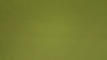Discount Fabric ULTRA LEATHER Original Parrot Upholstery & Automotive