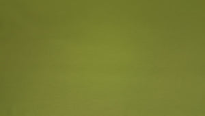 Discount Fabric ULTRA LEATHER Original Parrot Upholstery & Automotive