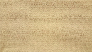 Discount Fabric VELVET Oatmeal Upholstery